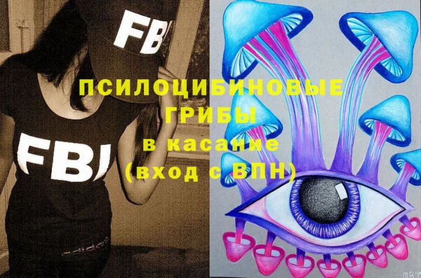 прущие грибы Богородск