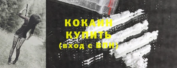 прущие грибы Богородск