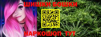 спиды Камышлов