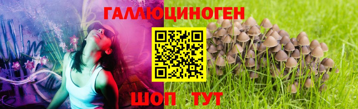 Псилоцибиновые грибы мицелий Медногорск